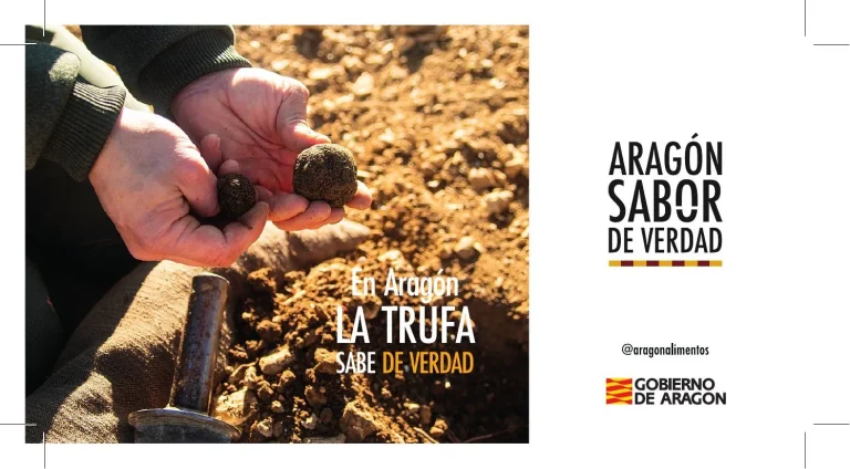 Aragón Sabor de Verdad · campaña y eventos (Gobierno de Aragón y SARGA), pieza 1