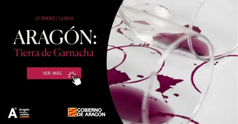 Gobierno de Aragón · Madrid Fusión y la garnacha (Promoción del vino aragonés), pieza 1