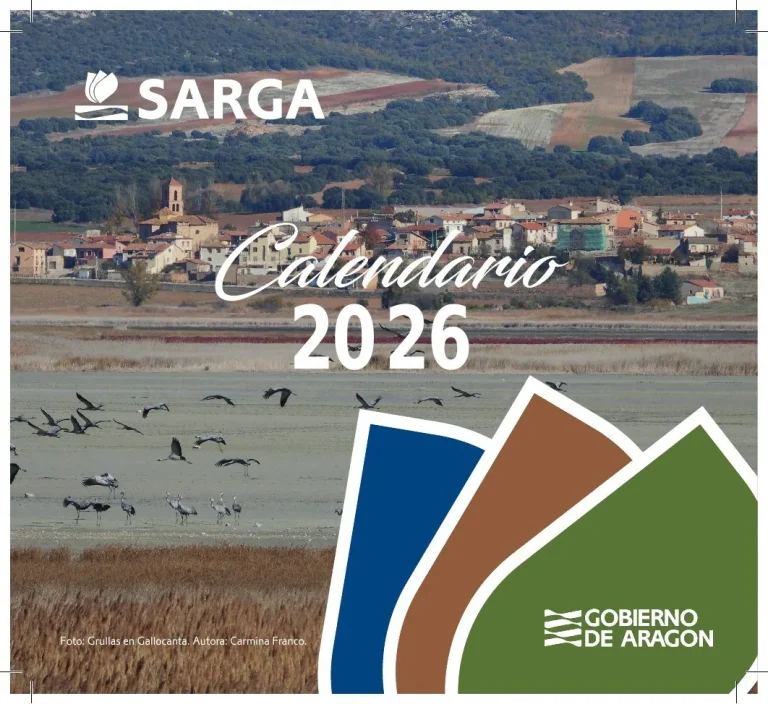 SARGA · Publicaciones corporativas (Empresa pública · comunicación interna y técnica), pieza 3